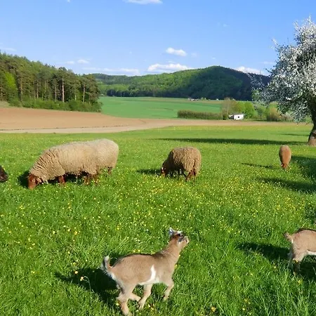 Daire Ferienhof Fuchs